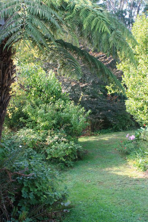 Strathmore Farm B&B Mirboo North 외부 사진
