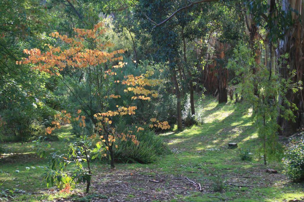 Strathmore Farm B&B Mirboo North 외부 사진
