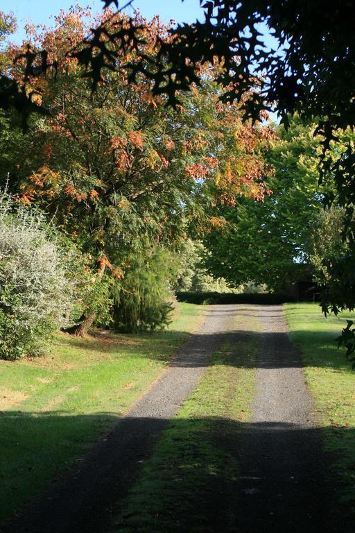 Strathmore Farm B&B Mirboo North 외부 사진