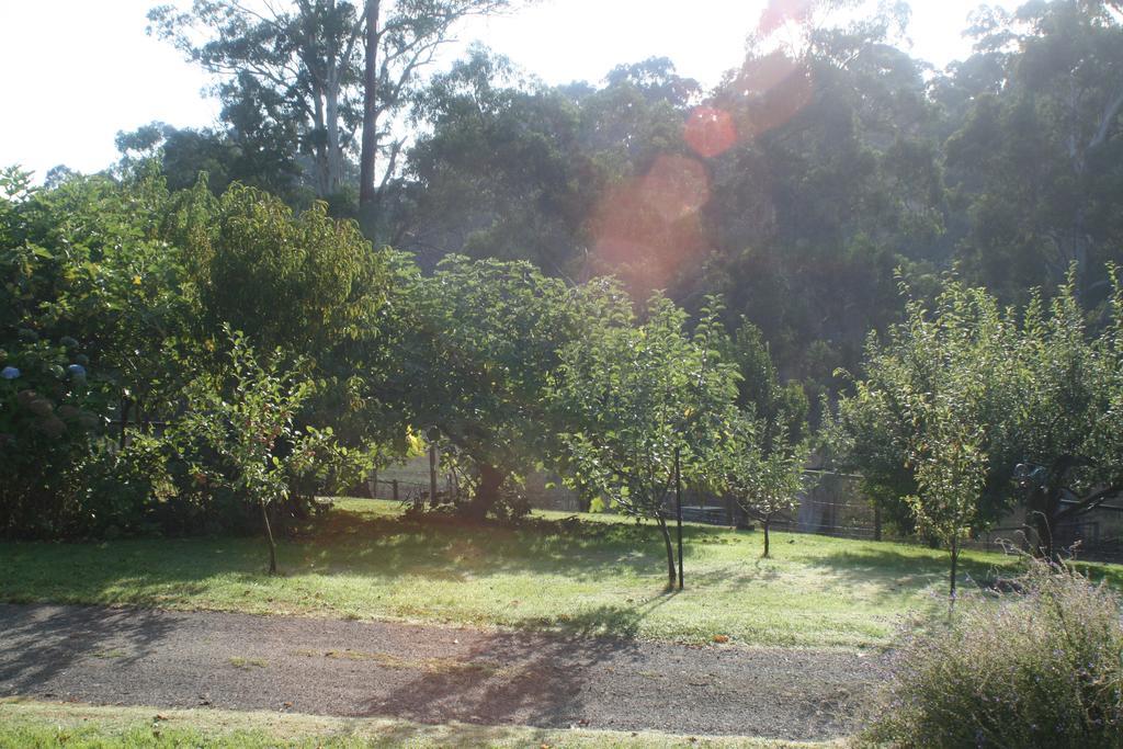 Strathmore Farm B&B Mirboo North 외부 사진