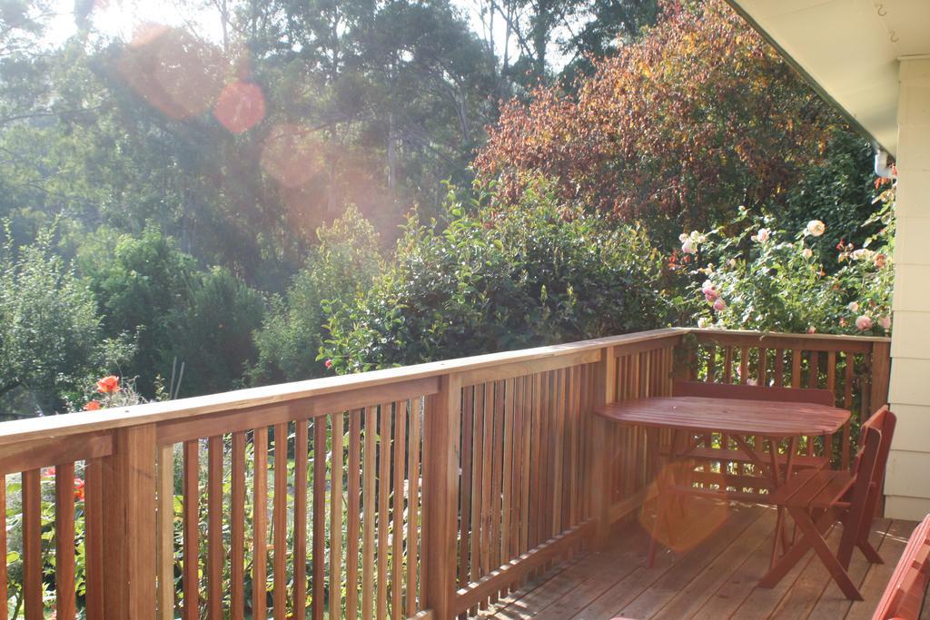 Strathmore Farm B&B Mirboo North 외부 사진