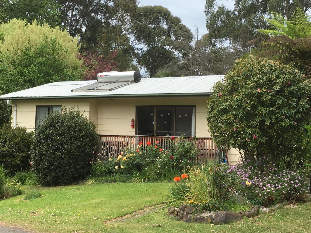Strathmore Farm B&B Mirboo North 외부 사진